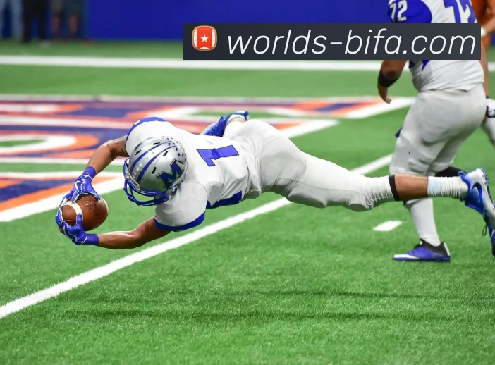 BIFA必发官网发展历程